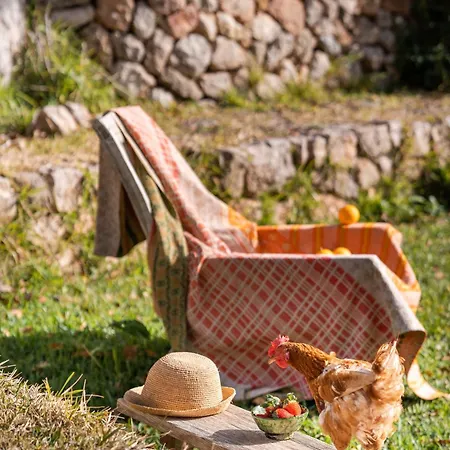 Son Viscos Casa rural *